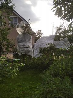 Дача, сад, огород.-1.jpg