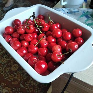 Дача, сад, огород.-e.jpg