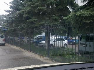 Охота на Caddy.-25062012455.jpg