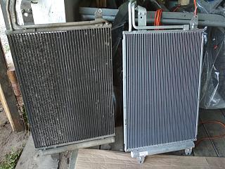 Два беляша - пара (maxi/Trendline/CLCA/2012)-img_20210717_151948.jpg