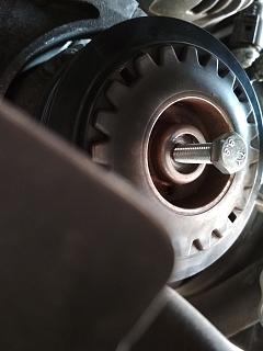 Два беляша - пара (maxi/Trendline/CLCA/2012)-img_20210717_142130.jpg