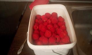 Дача, сад, огород.-img_20210805_200330.jpg
