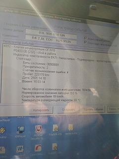 Два беляша - пара (maxi/Trendline/CLCA/2012)-img_20210912_170519.jpg