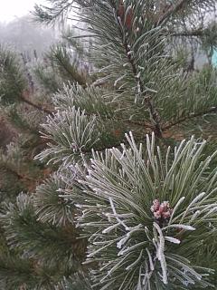 Позитивы и негативы сегодняшнего дня-img_20211113_113249.jpg