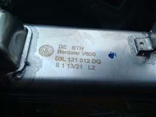 Два беляша - пара (maxi/Trendline/CLCA/2012)-img_20210924_074732.jpg