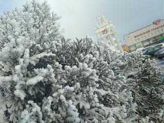 И о погоде-img_20211228_130755.jpg