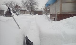 Дача, сад, огород.-img_20220122_122046.jpg