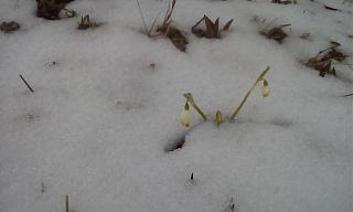 И о погоде-img_20220401_165749.jpg