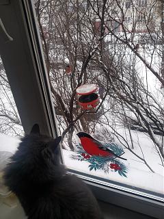 Домашние питомцы.-img_20221231_142901.jpg