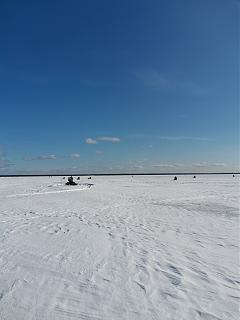 И о погоде-img_20230330_151330.jpg