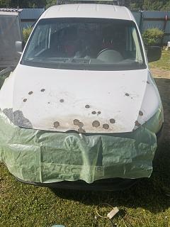 Вопросы и ответы о Caddy-img_20230621_091647.jpg