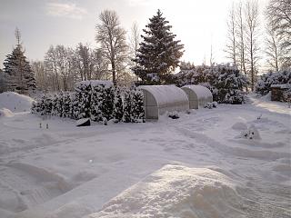 И о погоде-img_20231204_122121.jpg