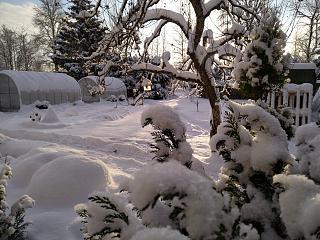 И о погоде-img_20231204_125428.jpg