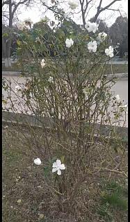 И о погоде-img_2059.jpg
