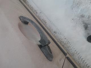 Вопросы и ответы о Caddy-img_20240209_085445.jpg