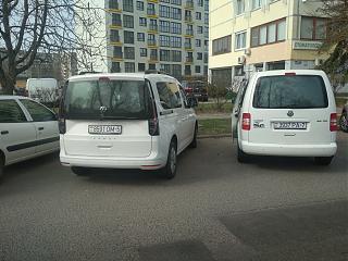 Два беляша - пара (maxi/Trendline/CLCA/2012)-img_20240402_133719.jpg