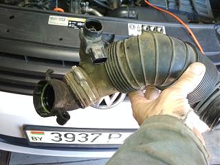 Два беляша - пара (maxi/Trendline/CLCA/2012)-img_20240706_120304.jpg