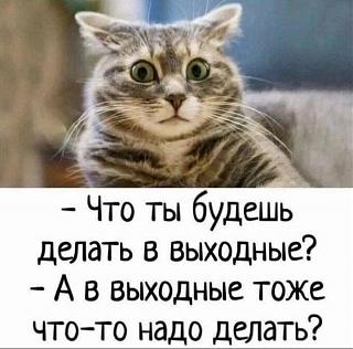Анекдот-1734118712969.jpg