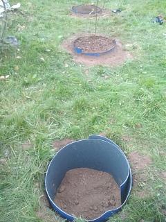 Дача, сад, огород.-img_20251003_183012.jpg