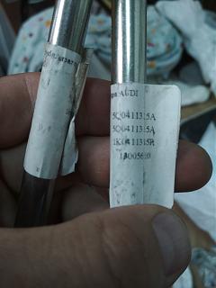 Два беляша - пара (maxi/Trendline/CLCA/2012)-img_20250816_122714.jpg