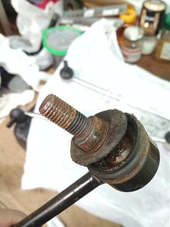 Два беляша - пара (maxi/Trendline/CLCA/2012)-img_20250816_123059.jpg