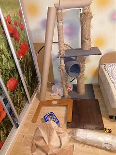 Домашние питомцы.-img_20251123_174541.jpg