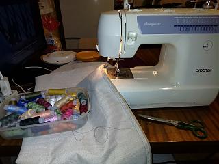 Домашние питомцы.-img_20251123_183252.jpg