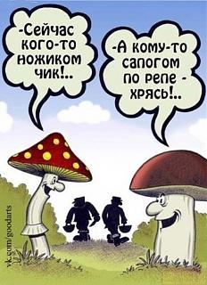 Приколы из интернета-.jpg