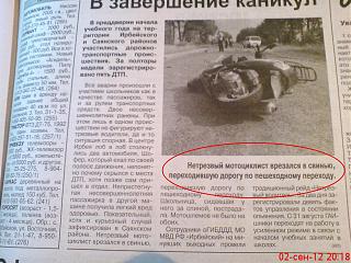 Флудилка-motociklist-i-svinya.jpg