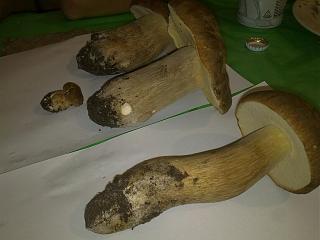 Флудилка-09092012680.jpg