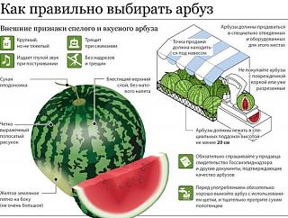 Приколы из интернета-.jpg