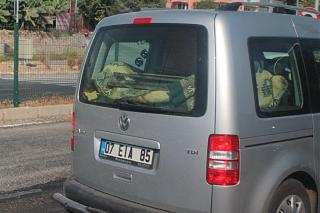 Охота на Caddy.-1.jpg