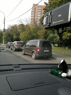Охота на Caddy.-2012-09-14-733.jpg