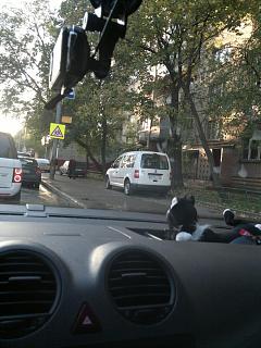 Охота на Caddy.-2012-09-26-770.jpg