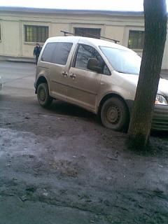 Фотки нашего любимчика-x_9585f13d.jpg