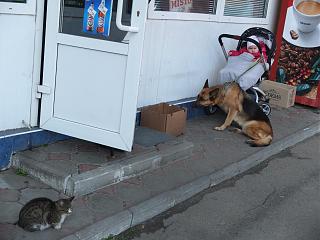 Интересные фотографии, сделанные членами клуба-dscf8227.jpg