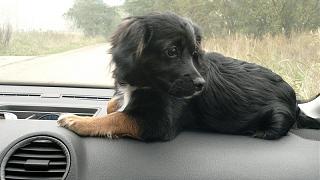 Интересные фотографии, сделанные членами клуба-2012-10-21-152.jpg