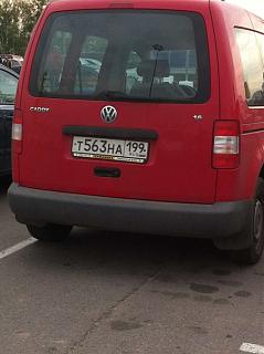 Охота на Caddy.-sinyrfzfiaw.jpg