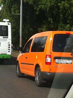 Охота на Caddy.-uwve6fe4uny.jpg