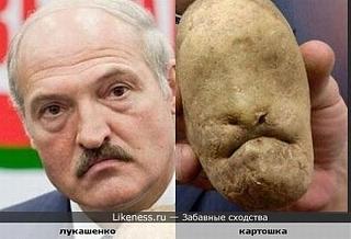 Приколы из интернета-getimage-2-.jpg